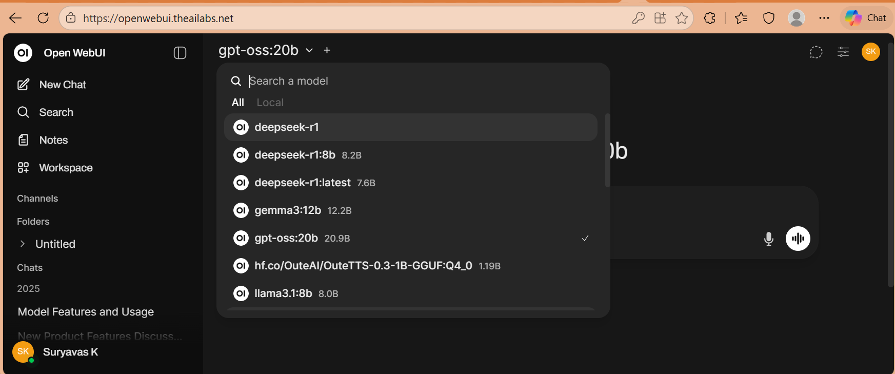 Local LLMs Screenshot 3